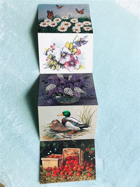 Vintage Nature Postcards Set of 5. - Etsy