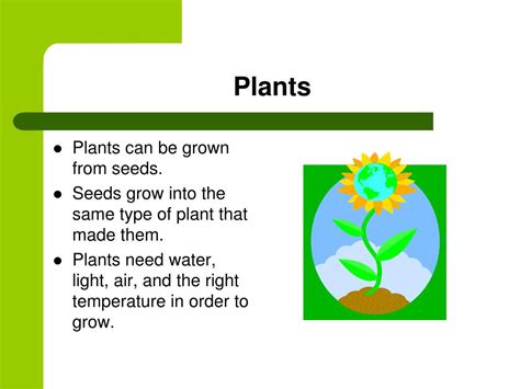 Ppt How Do Plants Grow Powerpoint Presentation Free Download Id