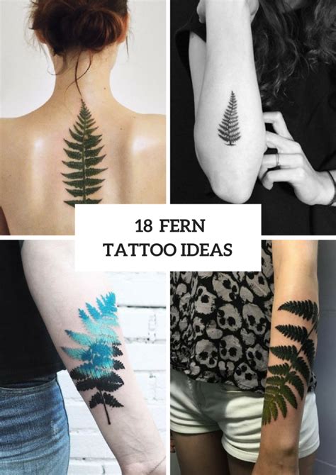 18 Wonderful Fern Tattoo Ideas For Women - Styleoholic