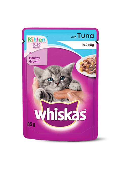 Premium Kitten Wet Food for Healthy Growth