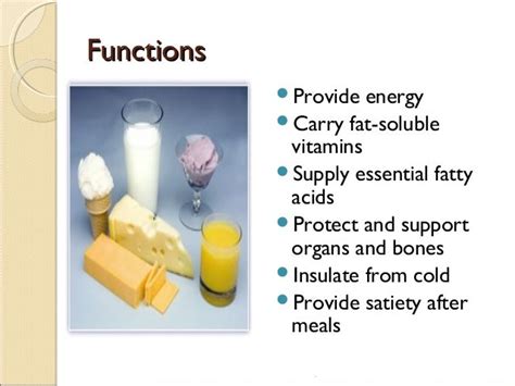 lipids and fats