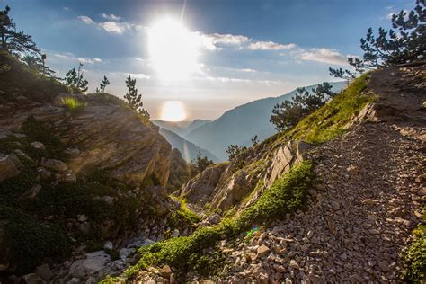 Kostenlose foto Landschaft Meer Küste Baum Natur Pfad Rock