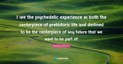 I See The Psychedelic Experience As Both The Centerpiece Of Prehistori