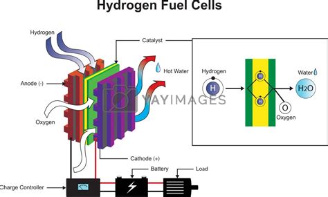 Hydrogen fuel cells diagram. by pattarawit Vectors & Illustrations Free ...