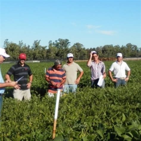 LICENCIATURA EN ADMINISTRACI N AGRARIA Economicas Guia De Carreras