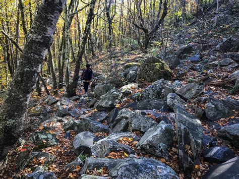 AT 7: Fall In Massachusetts - The Trek