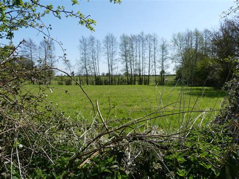 Grass Field David Pashley Cc By Sa Geograph Britain And Ireland