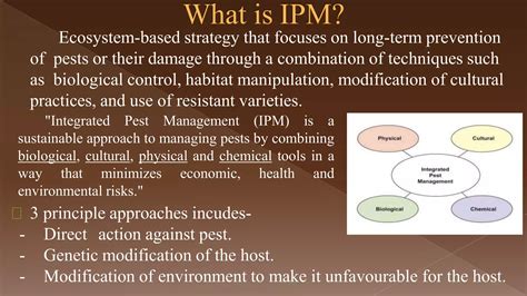 Ipm Integrated Pest Management Ppt