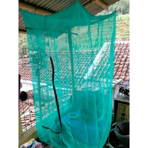 Jual Kandang Lalat Bsf 1x1x2 Alas Model Gantung Shopee Indonesia