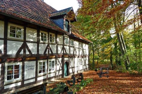 Wandern zu Klöstern und Burgruinen im nördlichen Harzvorland LEBENSREISEN