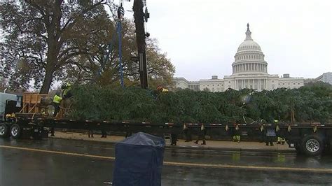 Christmas In Washington Dc