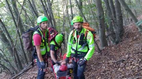 Cade Nel Bosco Mentre Cerca Funghi E Si Storce Una Caviglia