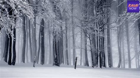 Register For Winter Fun This Friday Kauai Now