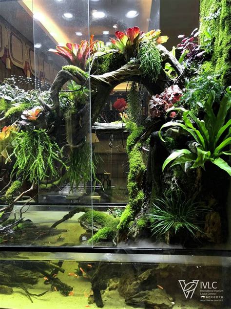 Pin By Marlboro On Y Live Aquarium Plants Water Terrarium