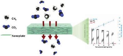 Aligned Metalorganic Framework Nanoplates In Mixed Matrix Membranes