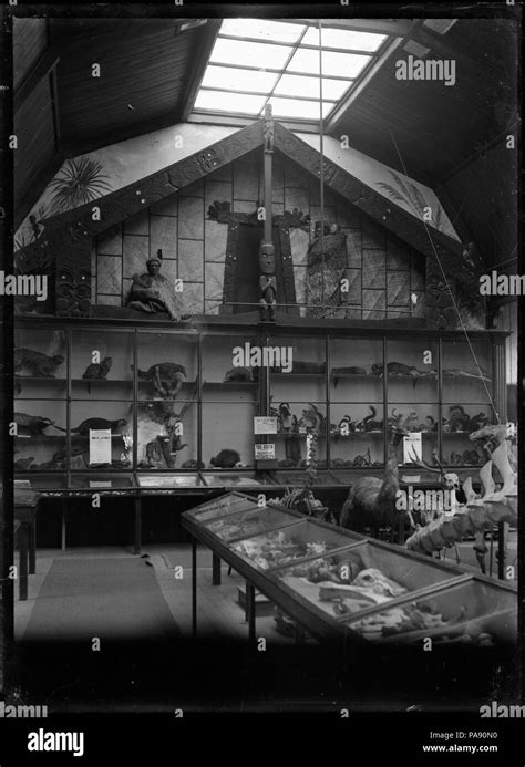 125 Interior view of the Wanganui Public Museum ATLIB 273596 Stock ...