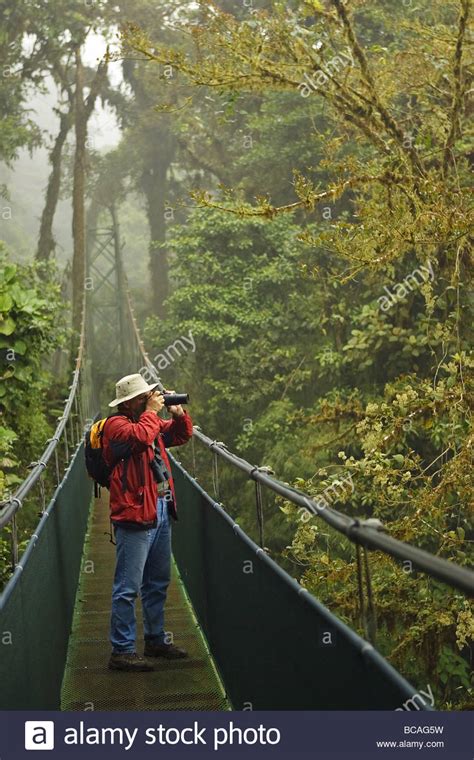 Canopy walk costa rica hi-res stock photography and images - Alamy