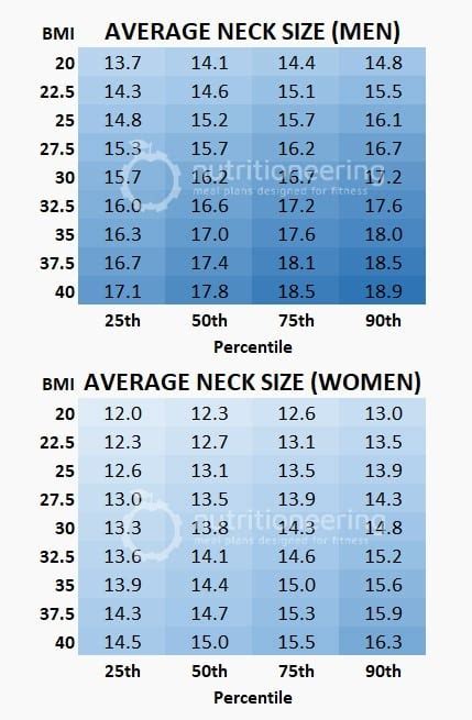 Average Neck Size Statistics and Charts for Men & Women