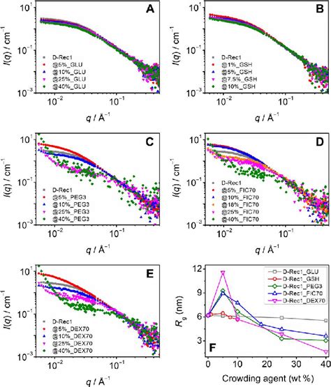 SANS Results Of D Rec1 Under Macromolecular Crowding Conditions SANS