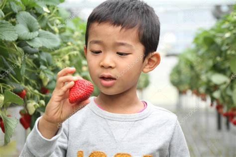 Niño Japonés Comiendo Fresa Primer Grado En La Escuela Primaria 2023