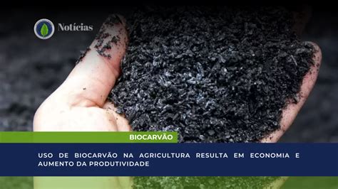 Biocarv O Uso De Biocarv O Na Agricultura Resulta Em Economia E