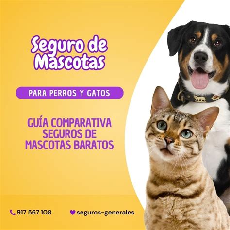 Cuál Es El Mejor Seguro Para Perros Para Obtener