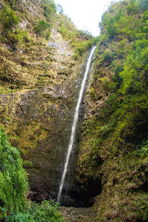 levada path canal system   island  madeira portugal stock