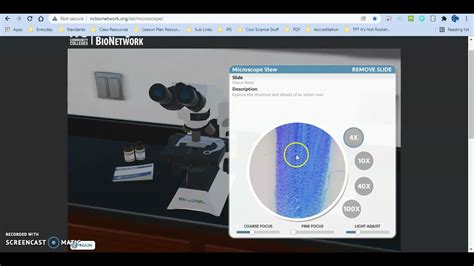 Nc Bionetwork Virtual Microscope Instructional Tutorials Youtube