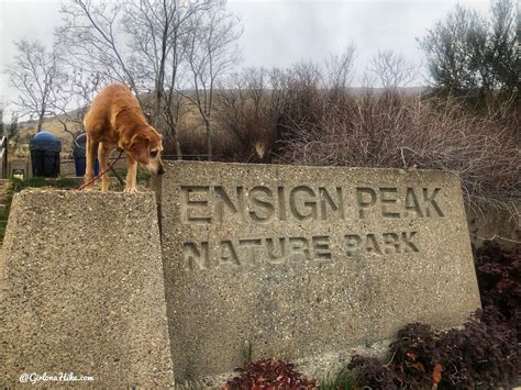 Hiking to Ensign Peak Girl on a Hike