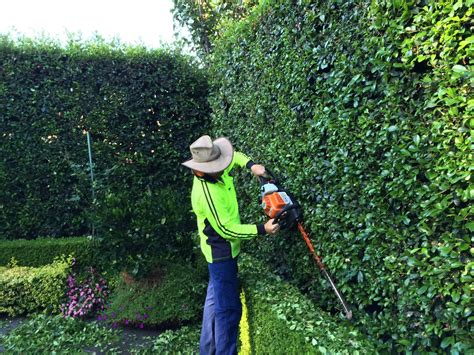 Hedge Trimming Inner West - Sydney Shrub and Hedge Pruning