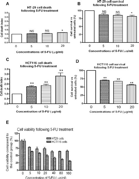 Human Colon Cancer Ht29 A And B And Hct116 C And D Cells Were