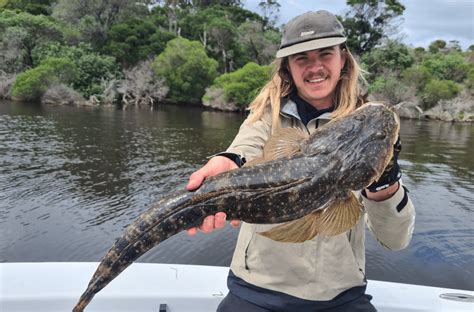 Targeting Dusky Flathead Hooked Up Magazine