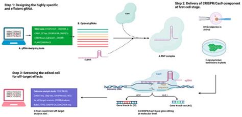 Ijms Free Full Text Current Bioinformatics Tools To Optimize Crispr