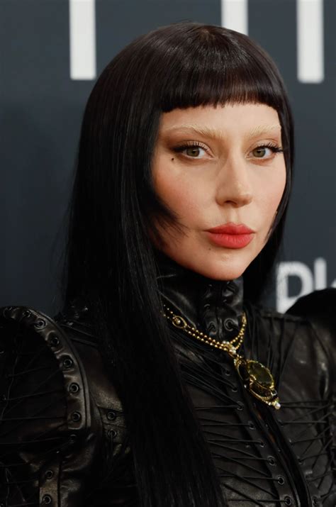 Lady Gaga Tour: From Legendary Shows to Future Grand Performances in ...