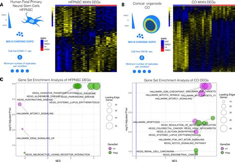 From Cohorts To Molecules Adverse Impacts Of Endocrine Disrupting Mixtures Science