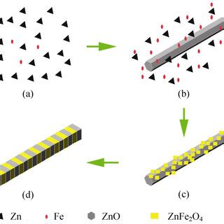 Schematic Illustration Of The Growth Process Of Periodic Zno Znfe O