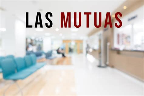 ¿qué Debo Saber Sobre Las Mutuas Gestorum Gestoria Online