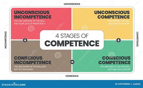 Matrix Diagram Of Stages Of Competence Into A Vector Chart