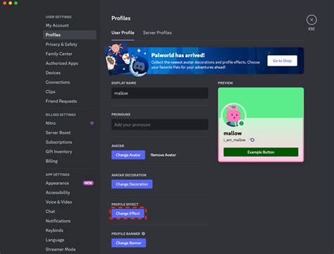 Perfiles Personalizados Discord