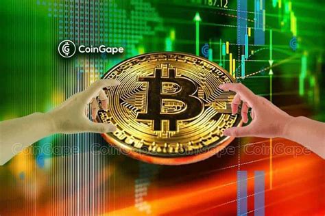 This Cohort Accumulated Bitcoins In Five Months Btc Price