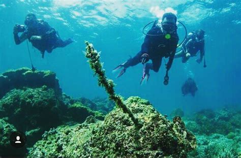 Pulau Beras Basah Kalimantan Timur Wisata Pantai Dan Ekosistem Laut