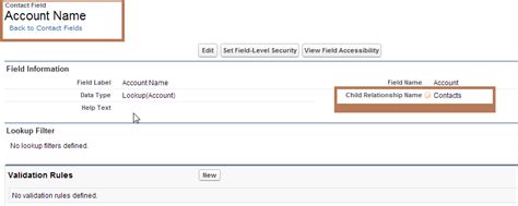 How To Query Lookup Field In Salesforce Einstein Hub Salesforce Guide