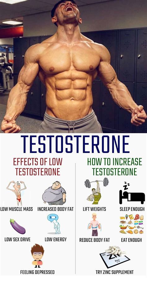 Understanding The Importance Of Testosterone Levels For Bodybuilders