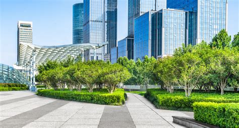 The Importance of Landscaping in Office Buildings - The Daily CPA