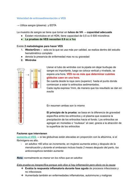 Velocidad De Eritrosedimentaci N Medilove Udocz