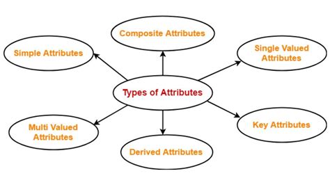 Understanding Derived Attributes In Er Diagrams A Comprehensive Guide