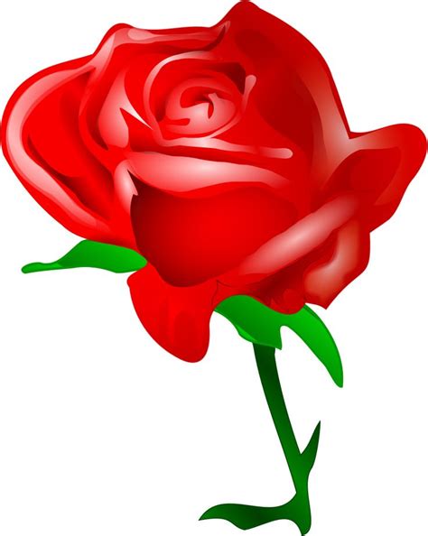 Single Red Rose Drawing | Free download on ClipArtMag