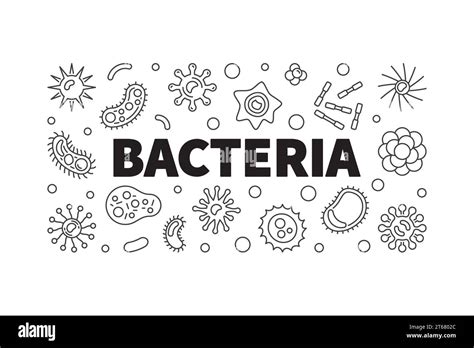 Bacteria Vector Horizontal Banner Concept Outline Illustration Made