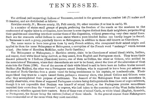 1890 Melungeon Census