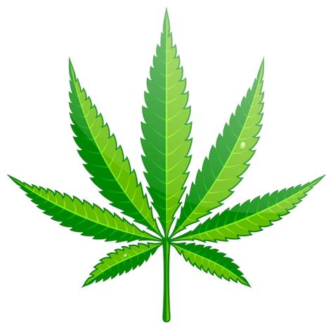 Icono Plano De Hoja De C Amo De Cannabis Vector Premium